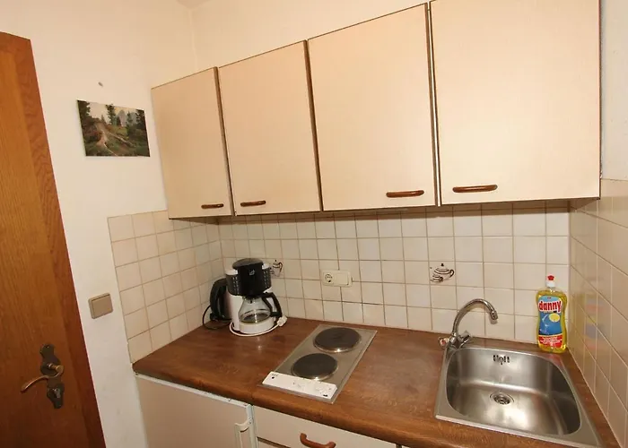 Apartment In Hart Im Zillertal With Garden Balcony Parking Appartamento *